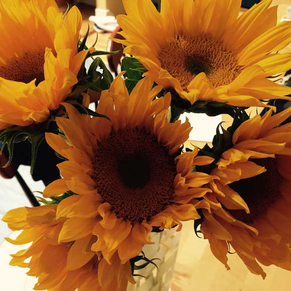 Meet your Poshers, Melanie and Abby - Picture 1 of 1